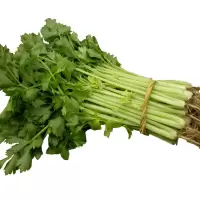 毛芹(新鲜)