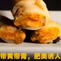 蛏子(新鲜)