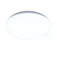 百士安 感应吸顶灯LED声光控走廊过道楼梯灯 入户玄关灯具 12W-白光-直径26cm
