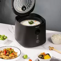 大宇 DYFB-306 智能饭煲 (S)