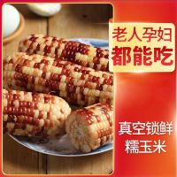 糯玉米真空彩糯210g/支非转基因甜糯玉米新鲜即食糯米香糯 6支/8支装