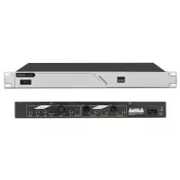 Byakuran数字反馈抑制器BX-2100T