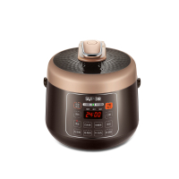 苏泊尔(SUPOR)电压力锅 SY-25YC10