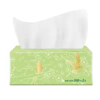 抽取式纸巾淡绿花抽纸面巾纸 2层200抽 20包/箱