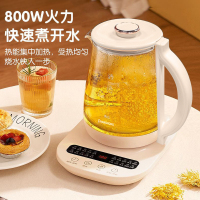 长虹(CHANGHONG) 养生壶