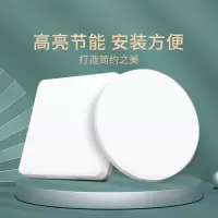 超薄厨房卫生间防雾灯玄关灯 LED吸顶灯25W 220VAC IP40/Ex