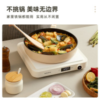 大宇电磁炉C02