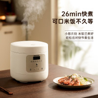 大宇低糖电饭煲FB10S