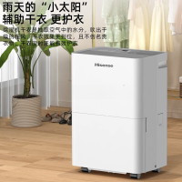 海信(Hisense) CF30BD/U除湿机 别墅吸湿器 地下室工业去湿防潮除湿器 30L/天 (适用30-90平)