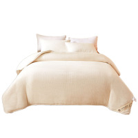 洁丽雅(Grace)新疆长绒棉 棉花纤维秋冬被芯 5斤150*200cm