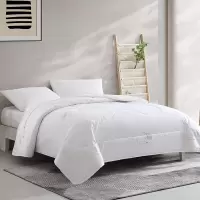 博洋宝贝(Beyond Kids)200×230cm轻奢睡感羊毛被BYYM217-1500