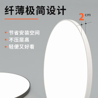 勇夺 15W 直径23CM吸顶灯