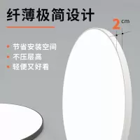 勇夺 15W 直径23CM吸顶灯