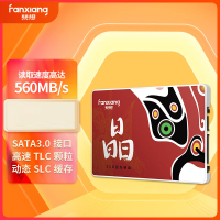 固态硬盘(梵想(FANXIANG)2TB )