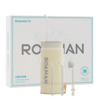 罗曼(ROAMAN) 冲牙器家用便捷专用牙齿清洗水牙线 Mini E2