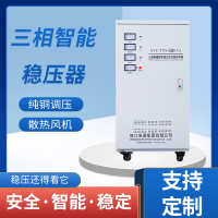 补偿式交流稳压器SVC/TNS-30KVA