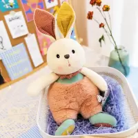 毛绒玩具兔玩偶布娃娃兔兔公仔女孩睡觉抱枕暖阳50cm