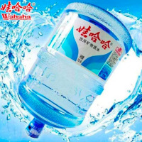 娃哈哈矿物质水18.9L