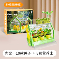 盈阔种植阳光房植物生长农场种菜养花生态塑料儿童玩具科学实验 种植阳光房(SD236)10款种子 附赠营养土