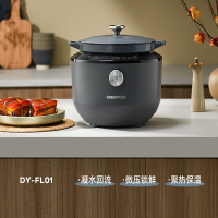 大宇电炖锅DY-FL01