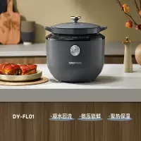 大宇电炖锅DY-FL01
