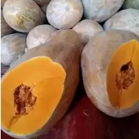 南瓜kg