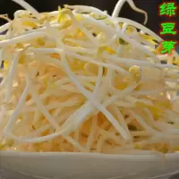绿豆芽kg