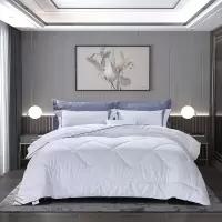 富安娜(FUANNA) 艾瑞丝四季被203*229cm(800g)