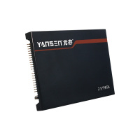元存/YANSEN 44针并口SSD固态硬盘IDE/Pata接口X31/SMT贴片机 16G 2.5英寸Pata 1个