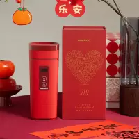 大宇电烧水杯D9-FGH