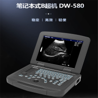 大为医疗 便携式笔记本全数字超声诊断仪DW-580 含腹部探头+腔体探头+高频线阵探头