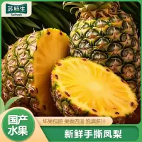 [苏鲜生]海南手撕凤梨 带箱3斤 1-2个装 当季热带水果香甜可口产地直发