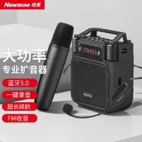 纽曼(Newmine)MS19双麦黑色小蜜蜂无线扩音器 35w大功率无线头戴麦+手持麦小蜜蜂