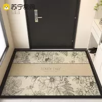 轻奢入户门地垫高级感耐脏免洗垫子进门口防滑垫丝圈脚垫玄关地毯