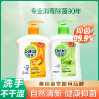 滴露(Dettol)洗手液有效99.9%儿童宝宝健康洗手液 滋润倍护 植物呵护450g+自然清新450g