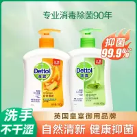 滴露(Dettol)洗手液有效99.9%儿童宝宝健康洗手液 滋润倍护 植物呵护450g+自然清新450g