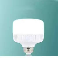 竹江 节能灯泡 LAMPU ESS 35W PHILIP