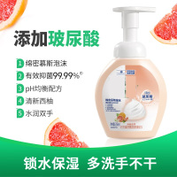 洗手液 /玻尿酸泡沫洗手液/250ml西柚