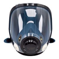 耐呗斯 防毒面具8800系列 呼吸防护全面罩 8800主体 1盒/套 16套/箱 一箱