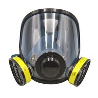 耐呗斯 防毒面具8800系列 呼吸防护全面罩 8800TNE四件套 1盒/套 16套/箱 一箱