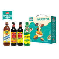 G160 海天-欢聚之味调味品组合HT-001