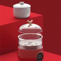 都市太太(DStt) DSTT都市太太红颜*元气满满多功能电炖蒸锅 绿色