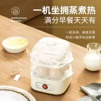 扬子 ZDQ-200蒸蛋器