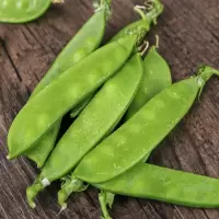 荷兰豆(新鲜)