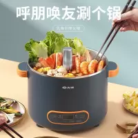 先锋 DRG-H3001R液体加热器(养生智能升降锅)