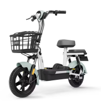 爱玛(AIMA) 礼想102 电动车 (台)