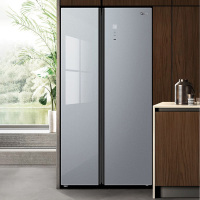 美的(Midea) 美家系列553升大容量对开门冰箱 双门一级能效节能净味电冰箱 BCD-553WKGPM