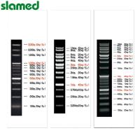 DNA分子大小梯度标记条(可常温保存) VIO-1kb-5