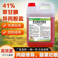 大丰收丰创惠选草甘膦除草剂41%草甘膦异丙铵盐烂根除杂草5kg