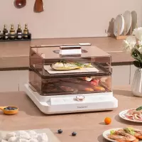 大宇 DYZL-201A 米白液体加热器(电蒸箱)(单位:个)